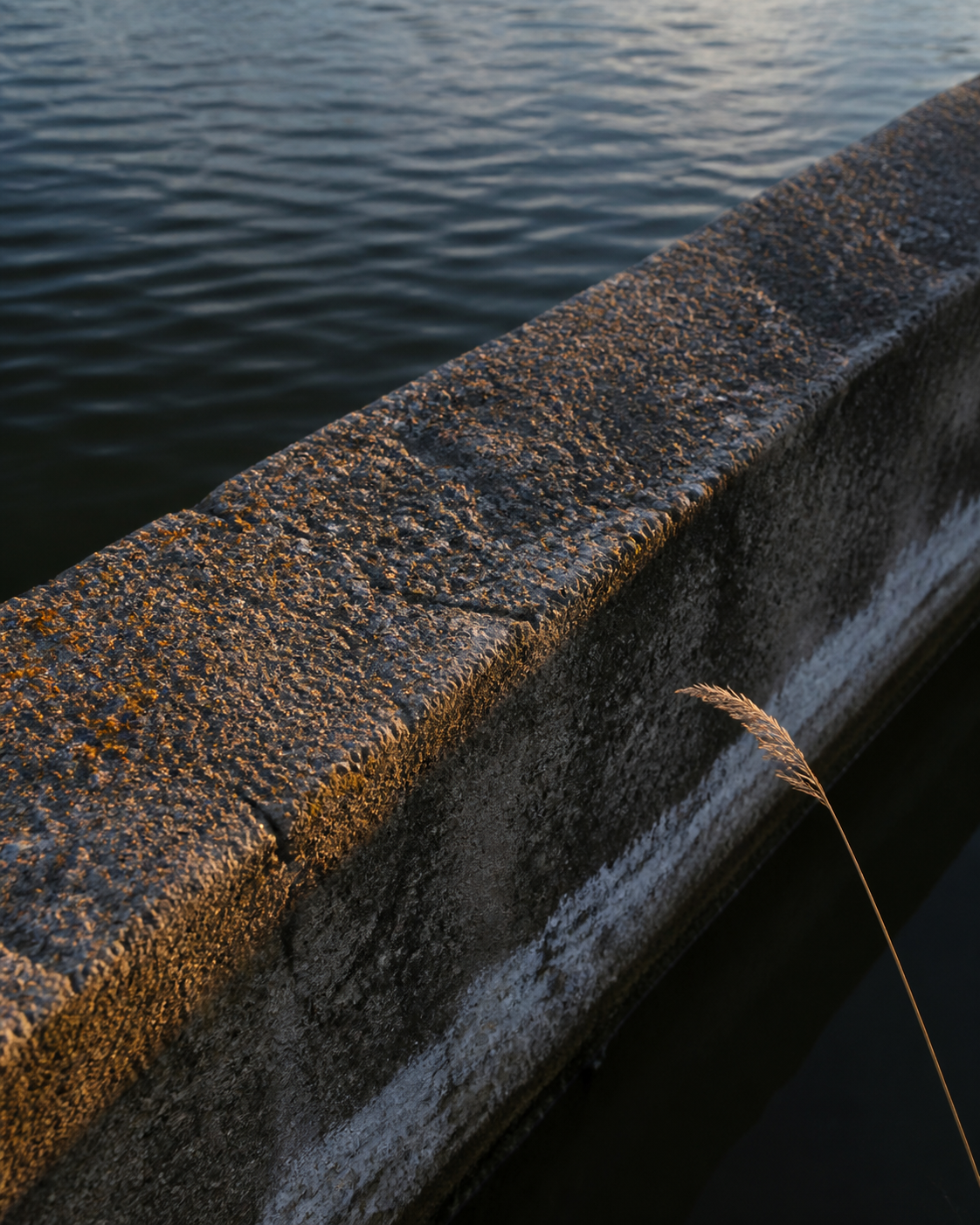 Mineral staining and warm evening light on the reservoir's concrete waterline